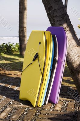 surfing
