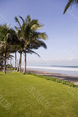 Tropical beach