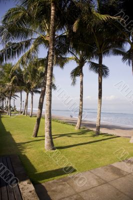 tropical beach