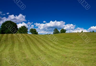 nice rural landscape over blue sky