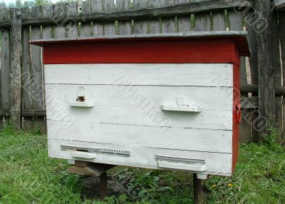 beehive