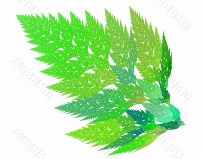 Frond