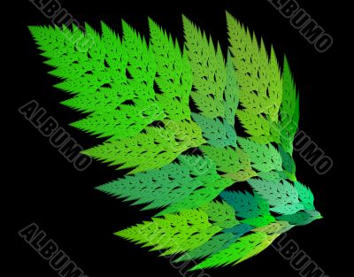 Frond