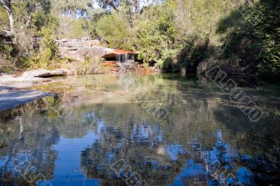 Pool in the forest