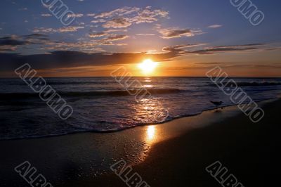 Shining Sunset