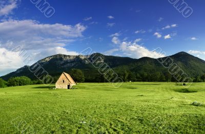 rural landscape with old house