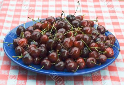 sweet cherry