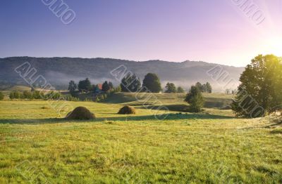 early morning rural landscape