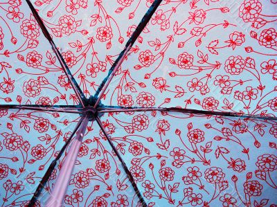 Behind a Wet Umbrella