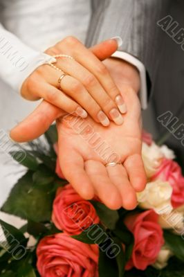 Hands of newly-married