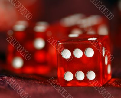 Red Dice to play, play dice.