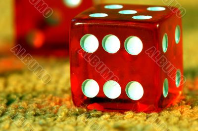 Red Dice to play, play dice.