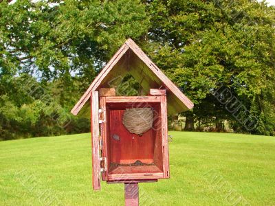 Wasp nest