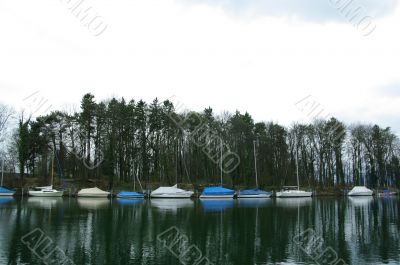 boats lineup
