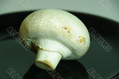 macro shot mushroom on black plate