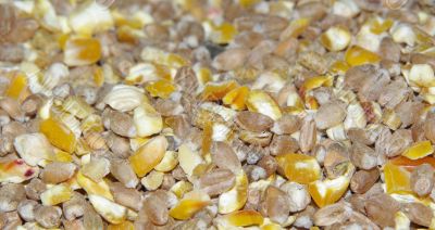 cereals
