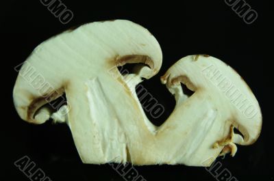mushrooms white