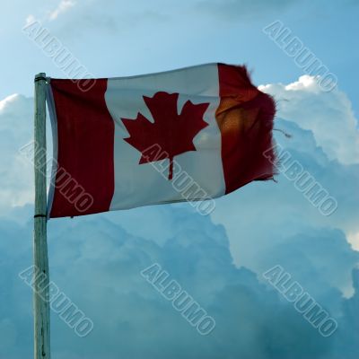 Canadian Flag