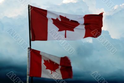Canadian Flags