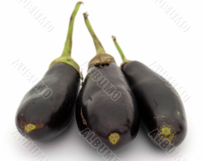 Three big eggplants