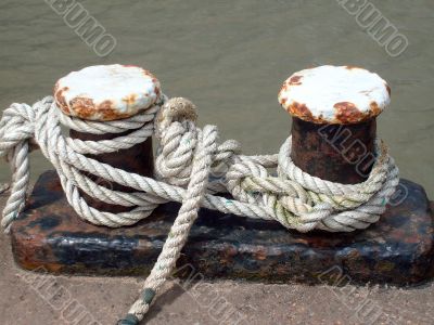 Knots in harbor