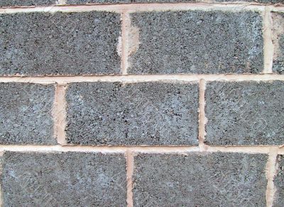 Breeze blocks in wall