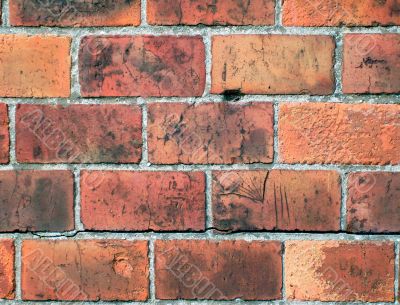 Red bricks in wall