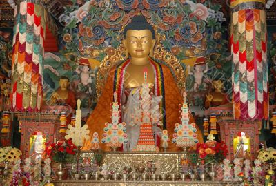 Buddha in bhutanese monastery in Bodhgaya