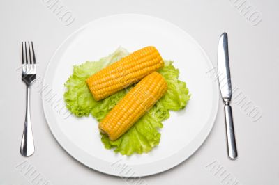 Ears of corn