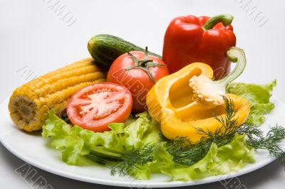 Vegetables on the plate