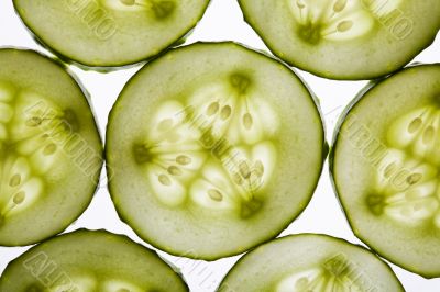 Cucumbers