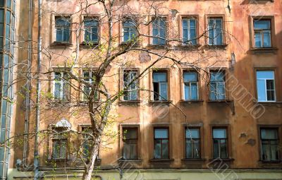 Old shabby house and the tree