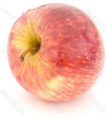 Juicy red apple