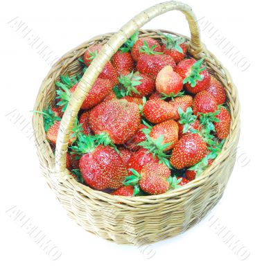 strawberries in a basket