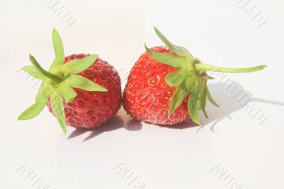 Two strawberries