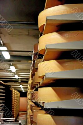 Cheese storage