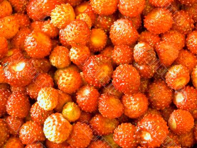 strawberry