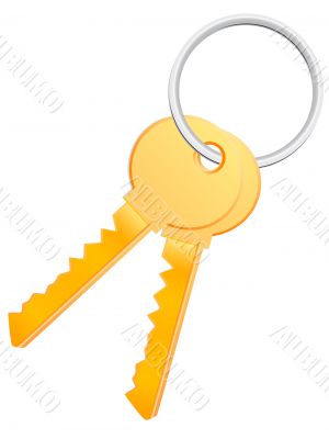 vector key