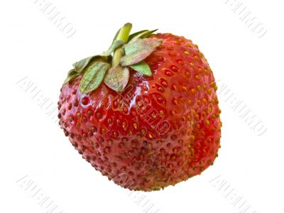 strawberry