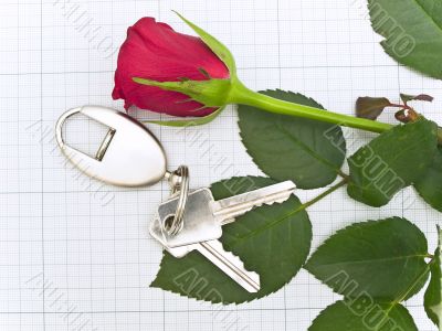 rose and keys