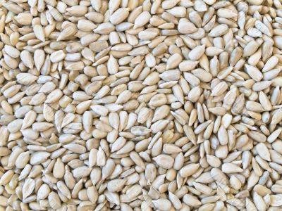 sunflower seeds