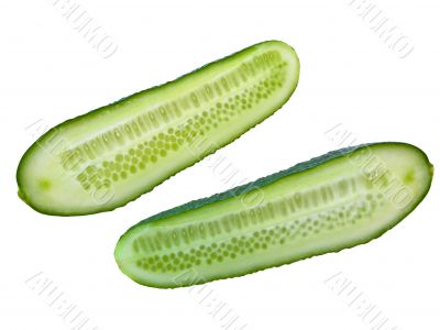cucumber