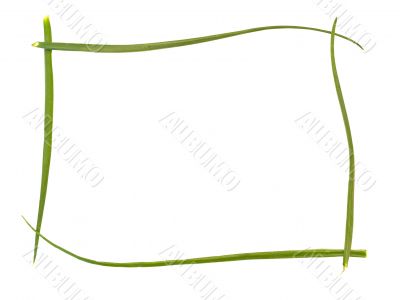 onion frame