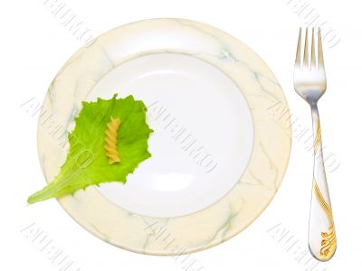 plate and fork