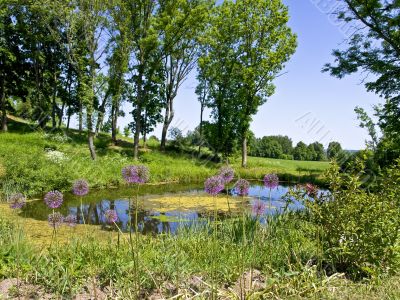 water pond
