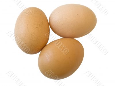 eggs