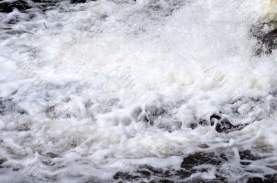 Water