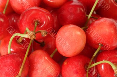 Background of Cherries