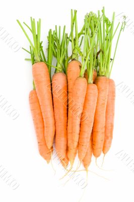 carrots