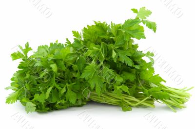 Dill. Green leaves.